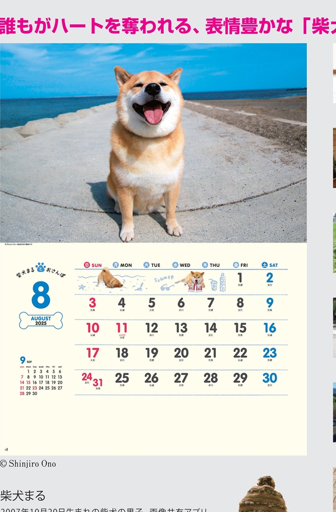 NK-035 , B4-13 , 柴犬まるとおさんぽカレンダー　名入れカレンダー class=