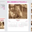 cute-cat-cacute-cat-calendar lendar