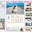 cute-animacute-animals-calendar ls-calendar
