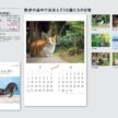 cute-cat-calendar