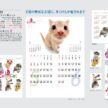 cute-cat-calendar