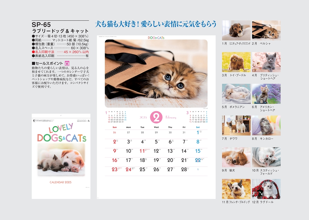 cute-dog-and-cat-calendar