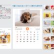 lovely-dog-calendar