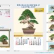 bonsai-calendar
