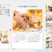 vcute-dog-and-cat-calendar
